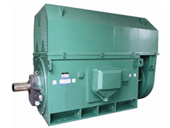 利川Y系列6KV高压电机